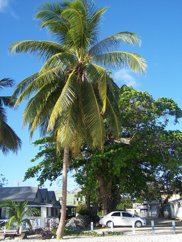 Image 38 of 43  -  206 kB